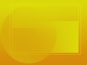 工具选型指南：找到最适合你的方案